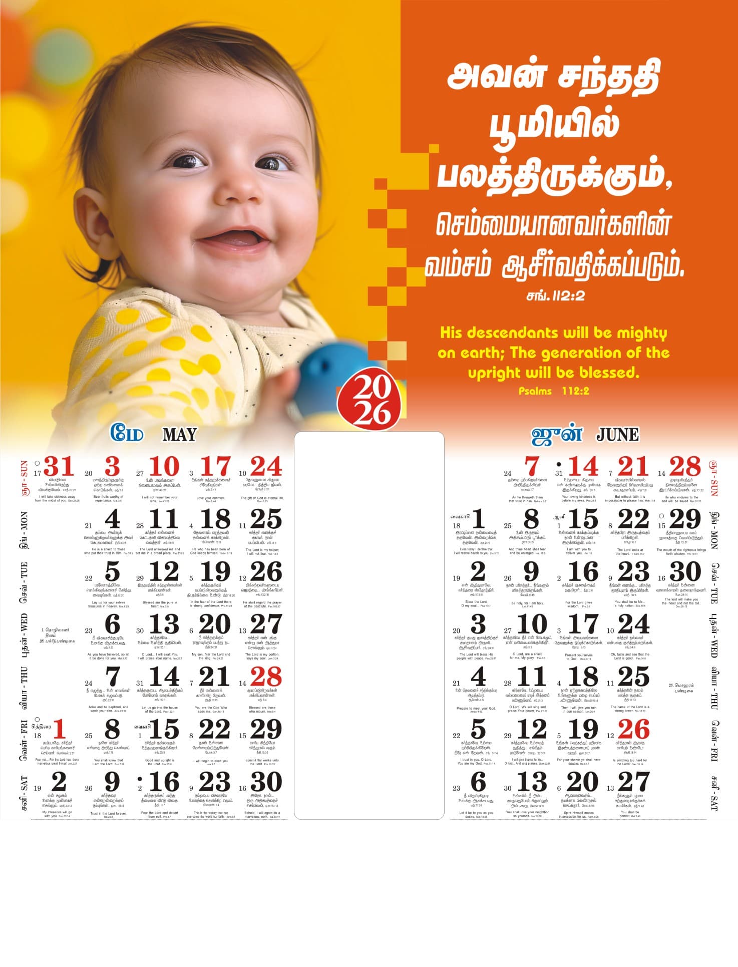 Babies calendar