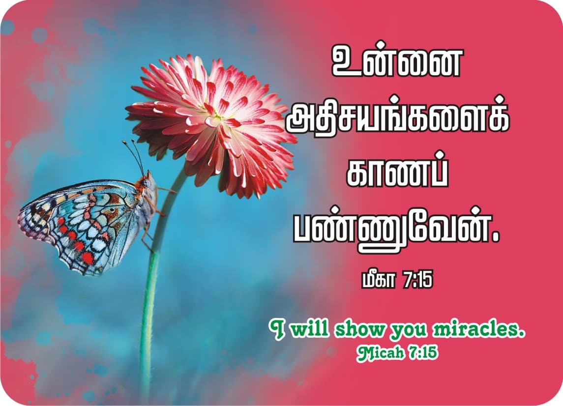 Pocket Cards calendar