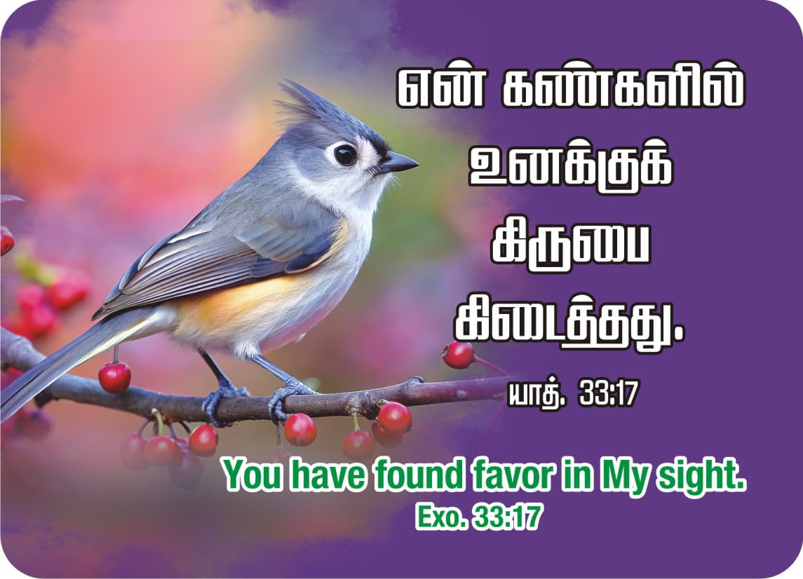 Pocket Cards calendar