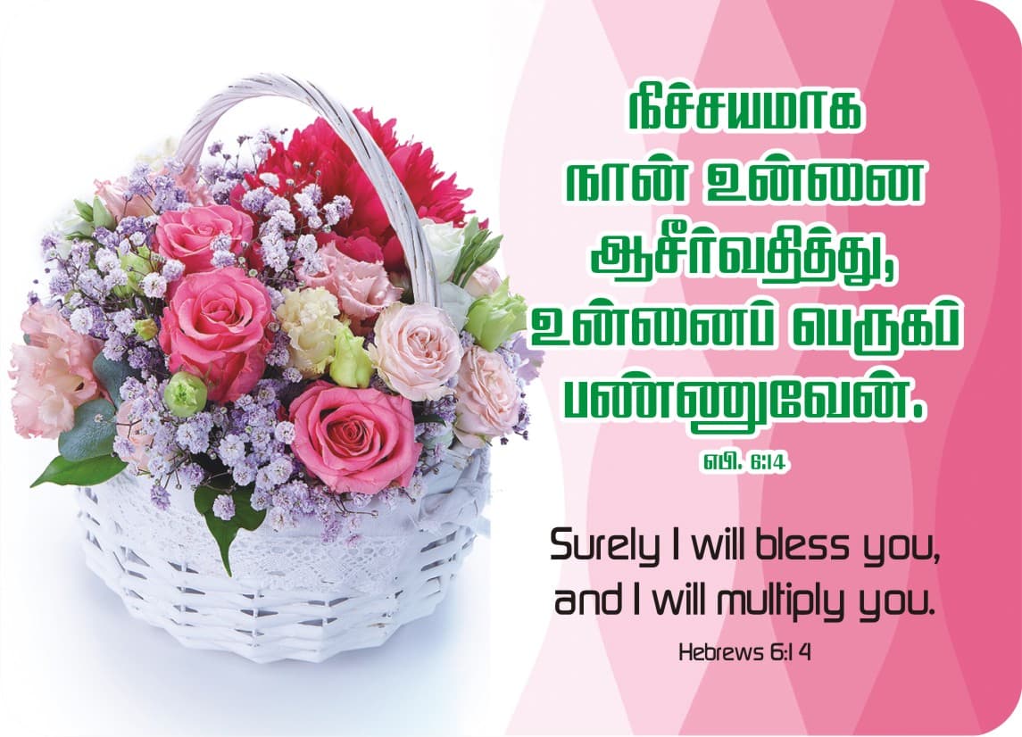 Pocket Cards calendar