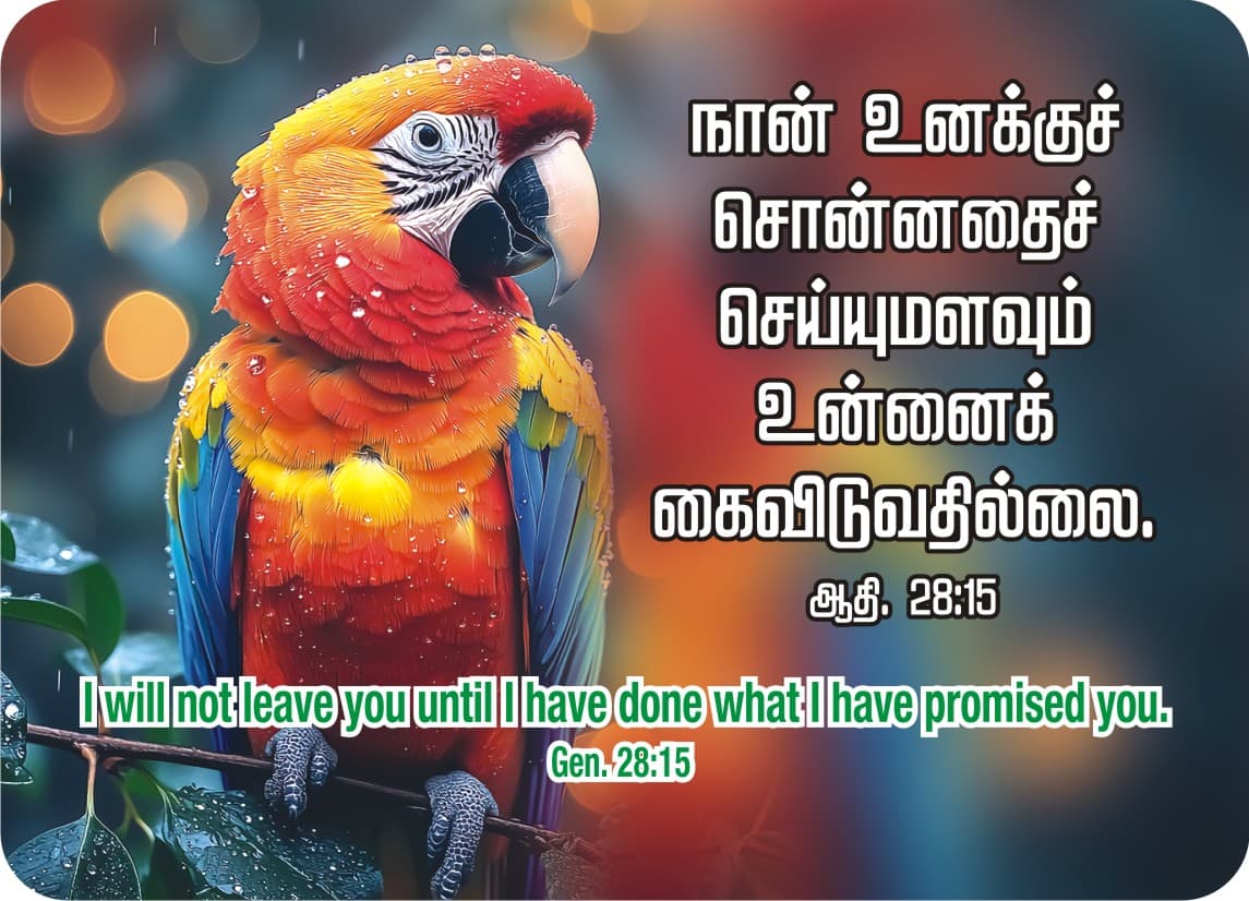 Pocket Cards calendar