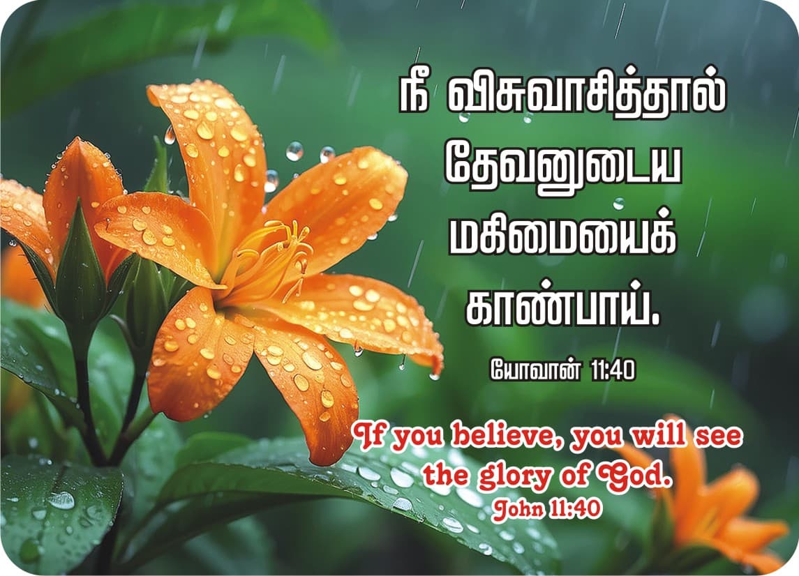 Pocket Cards calendar